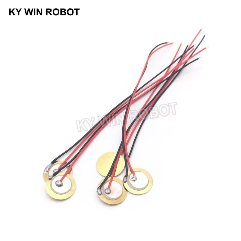 10 Buah Pelat Wafer Keramik Pi - Diy Electronic ulasan dan harga