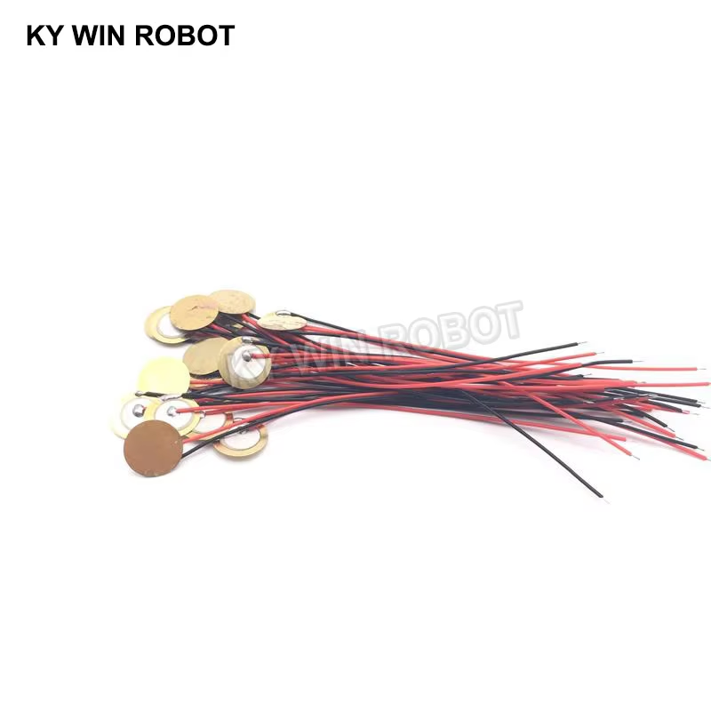 10 Buah Pelat Wafer Keramik Pi - Diy Electronic ulasan dan harga